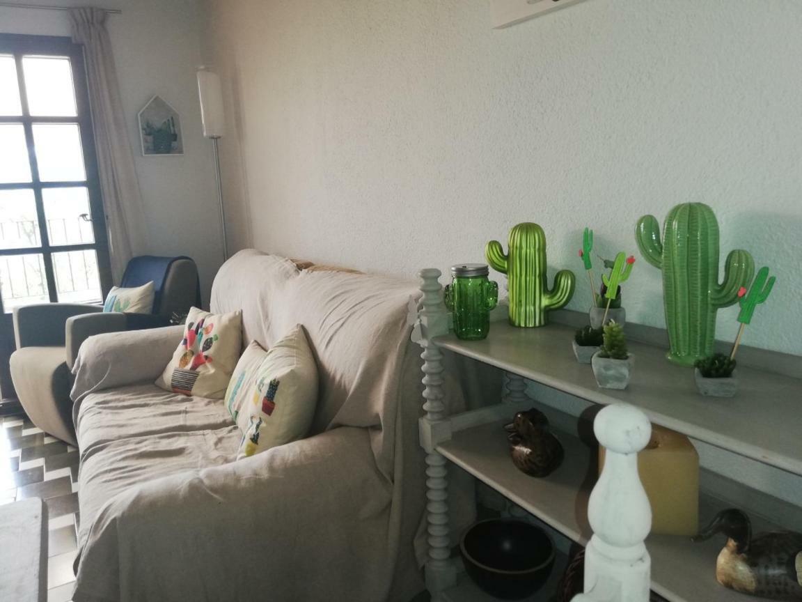 Can Cactus ガリゲイヤ エクステリア 写真